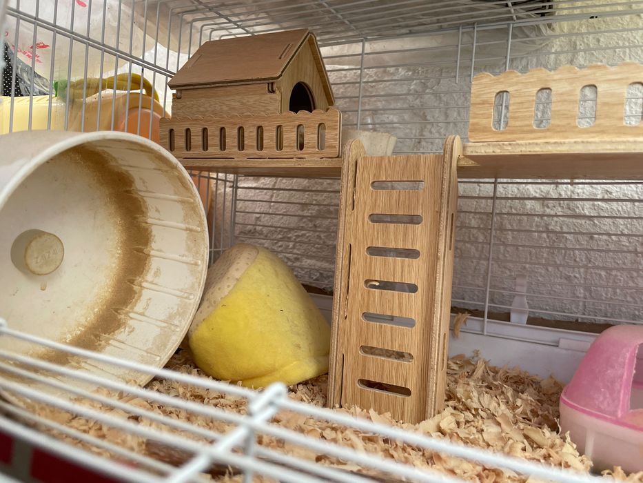 клетка для хомяка