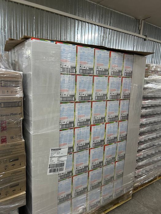 Kinder JOY minecraft