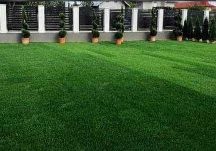 Gazon Rulou, Sisteme de irigare