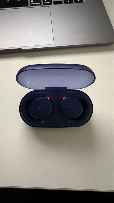 Căști wireless Sony WF-XB700 cu EXTRA BASS