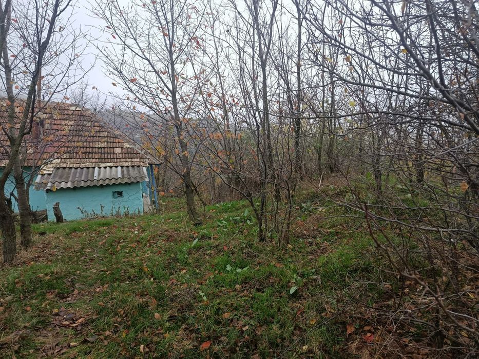 Casă vânzare-Jud Vaslui-Draxeni