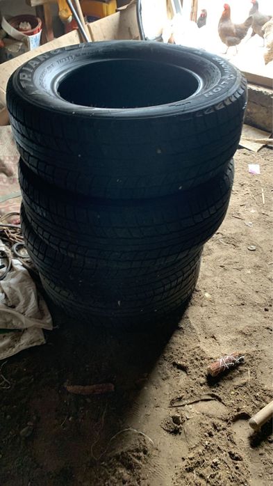 Triangele бу көп жүрілмеген