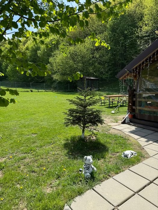 Casa Cri în inima naturii