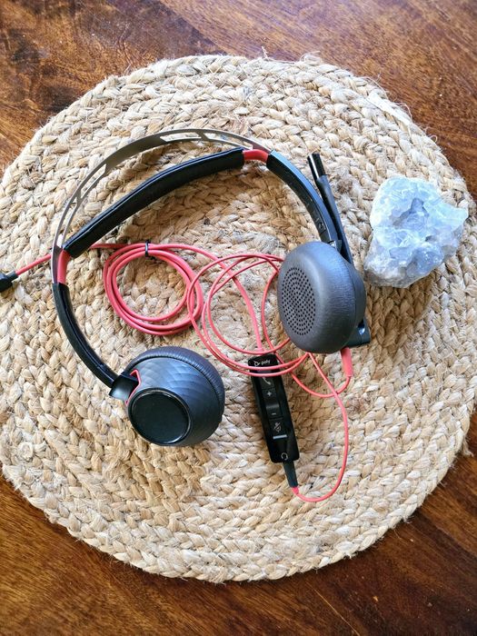 Set casti HP POLY Blackwire 5220