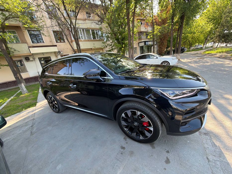 Byd Tang, 2024 restaling,