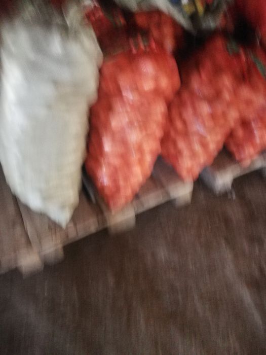 Картофель продается галла семенаа