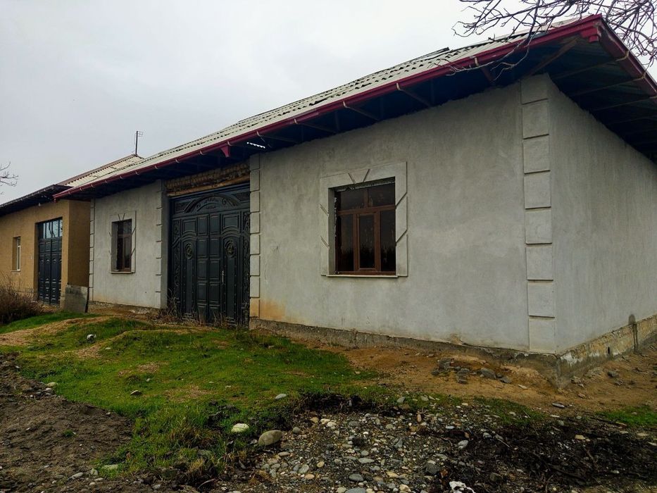 Jomboy tumani qora moyin mahhalasi
