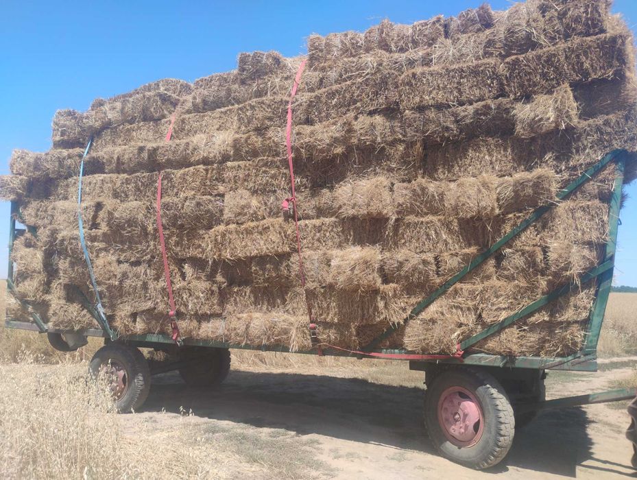 Vând baloți de fan