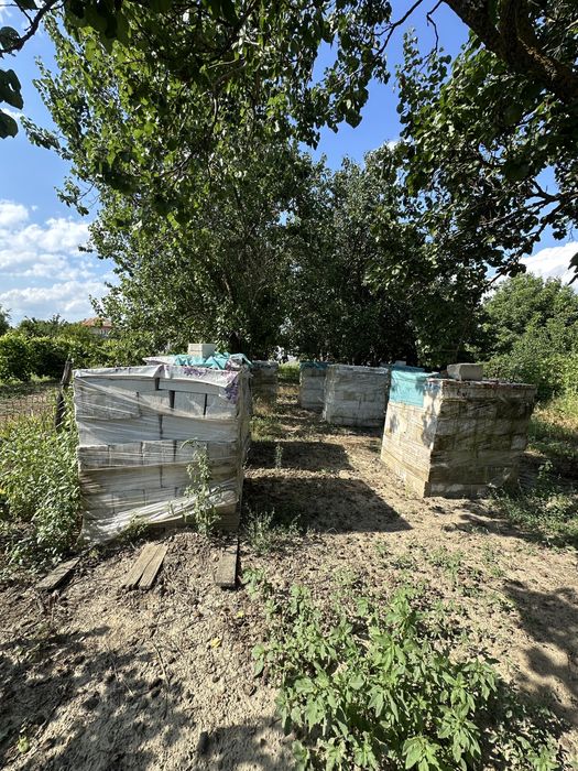 Vând proprietate – Casă și teren 1.300 mp în Crivăț, județul Călărași