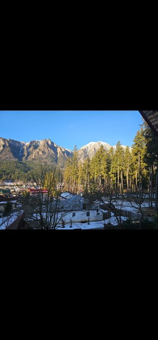 Casa de vânzare Bușteni