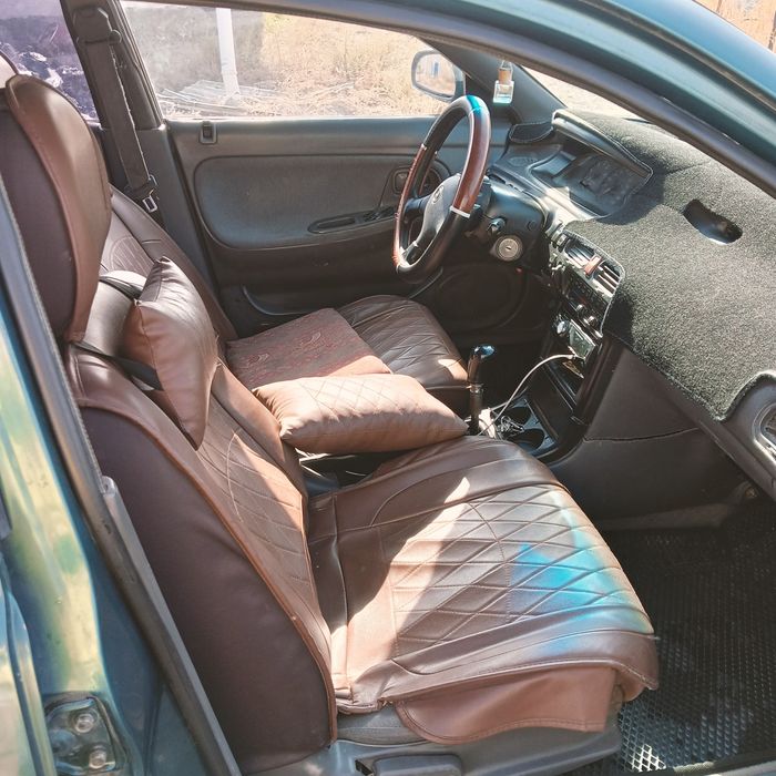 Сиыр кой жылкы обмен