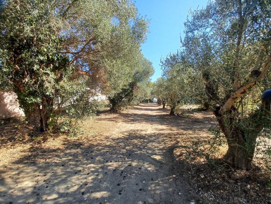 Продава се парцел 461 м2 на 2 улици в регулация в Неа Врасна, Гърция