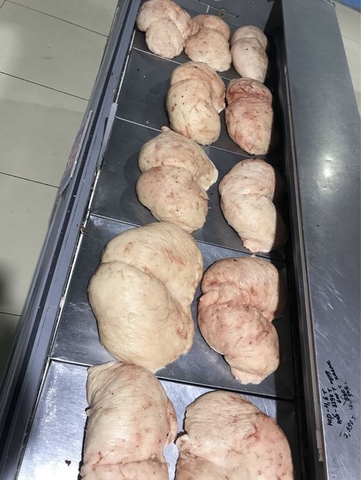 Курдюк баранина свежий