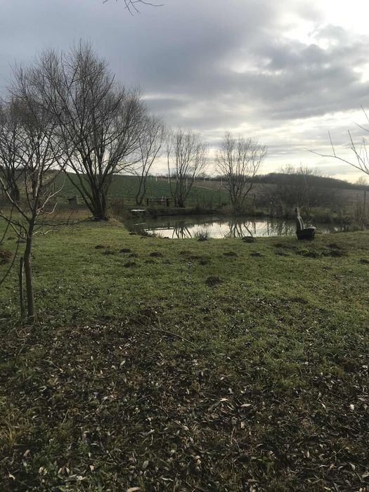 De vânzare baltă de pescuit