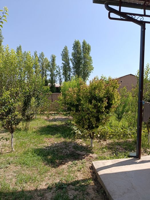 Hovli sotiladi 5 sotix
