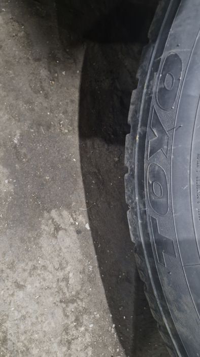 Шины зимние Toyo