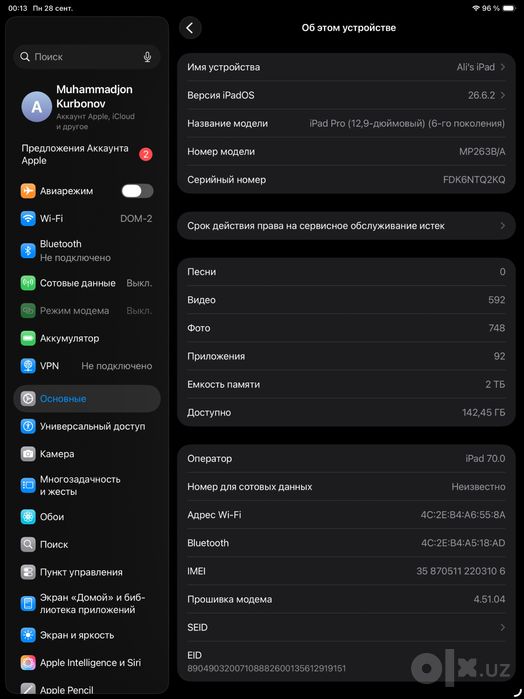 Ipad Pro 12,9 M2 / 2TB (Sim)