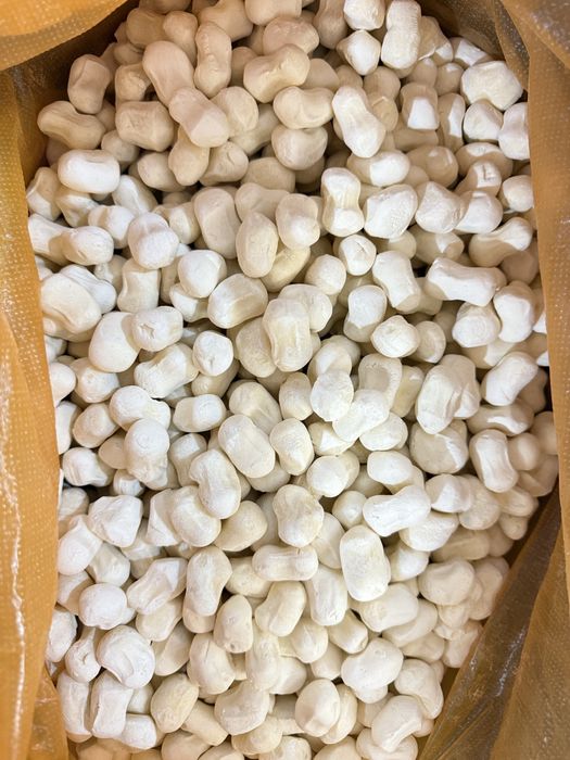 Курт домашный таза коспасыз