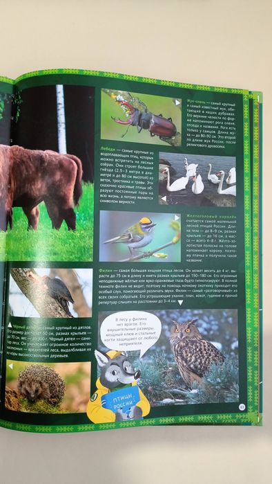 Большая книга новая