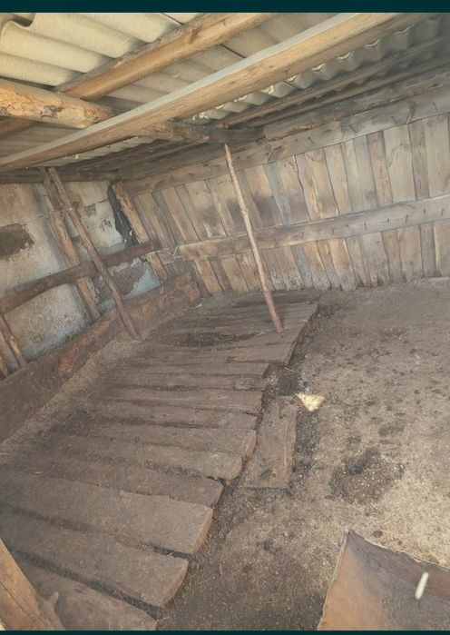 Продам дом сарай