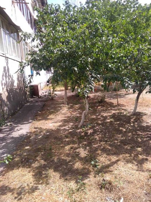 Город Ферагана улица А.Навоий дом 94 квартира 52.