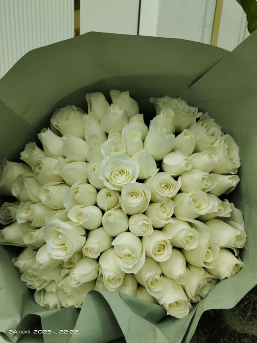 Цветы белый розы