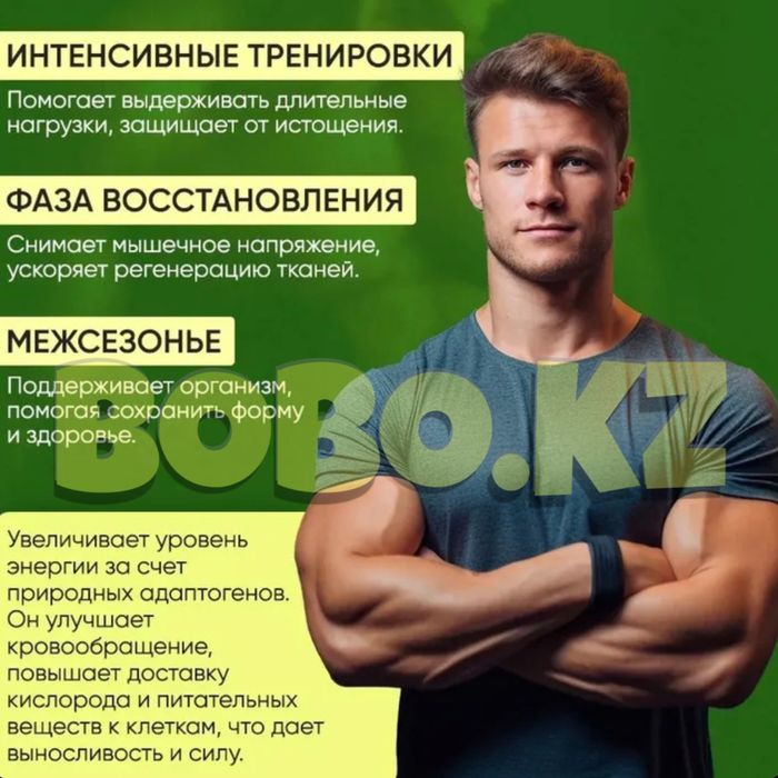 оригинал ГИНСЕНГ кианпи пил