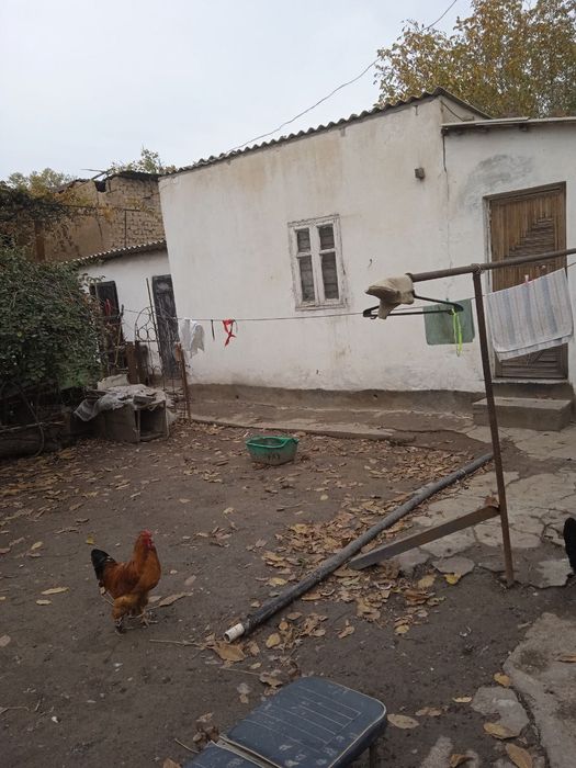 Продам дачу в развитой информационной локации для проживания