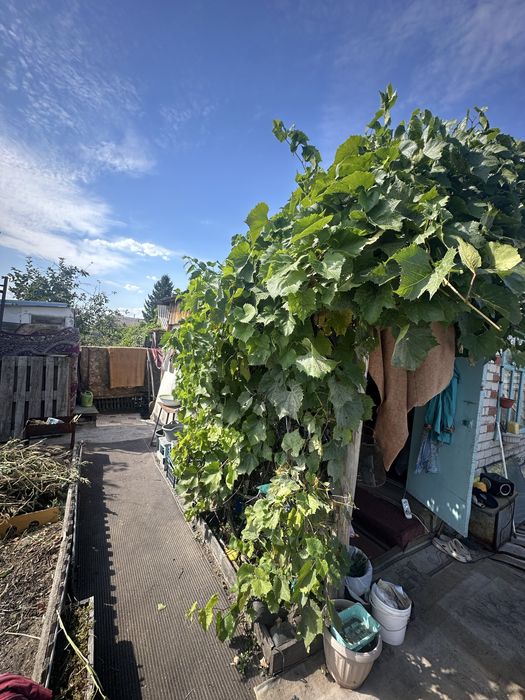 Продам дачу 17 маршрут