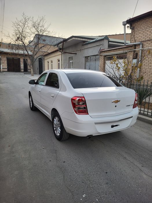 Cobalt GX-Style AT PLUS