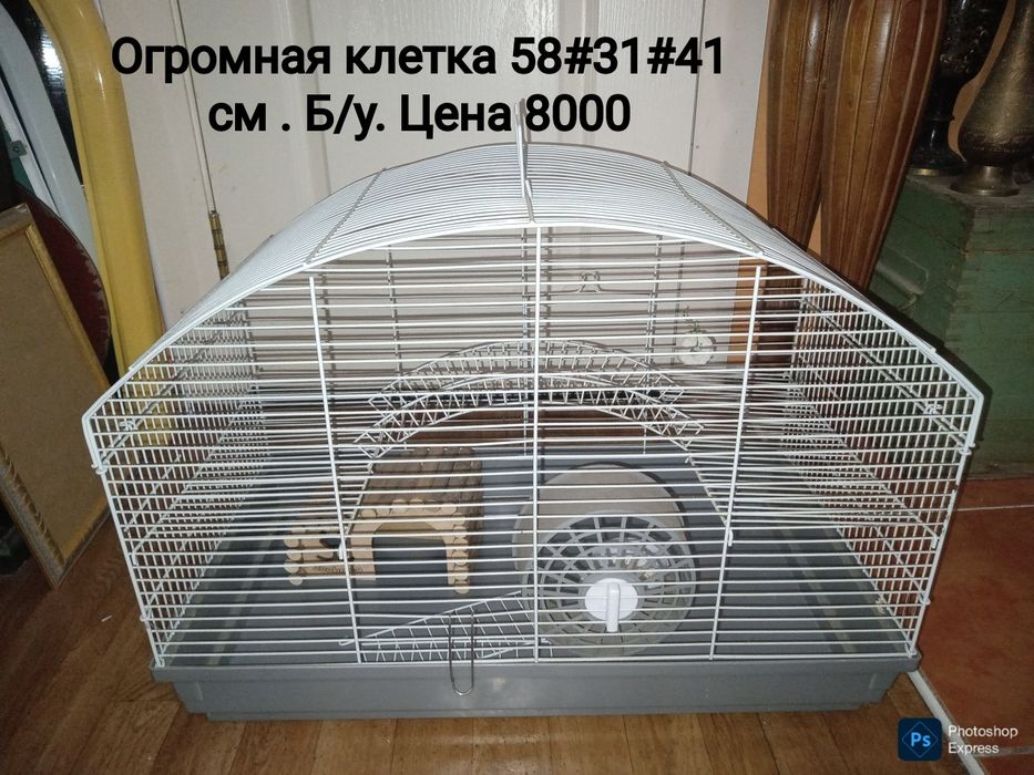 Клетки . Очень выгодно