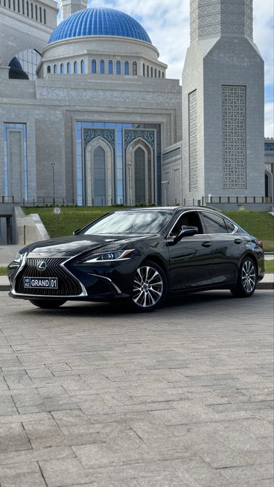 Ищем инвестора в автопрокат