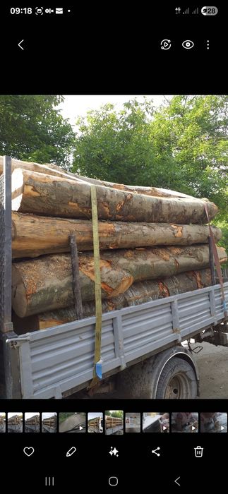 Lemne foc fag și cherestea