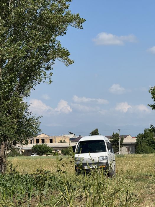 Damas sotiladi sirochni