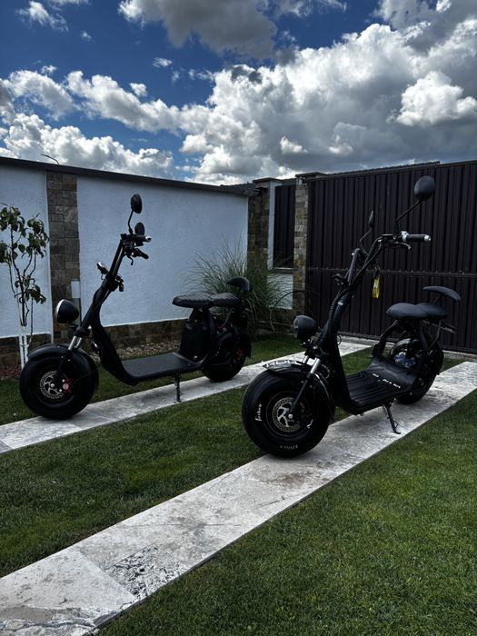 Moped city cocoo