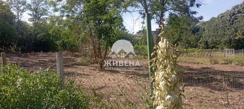 Продава се Парцел в Варна, м-т Прибой - 491 кв.м за 88 €/кв.м - Снимка #1