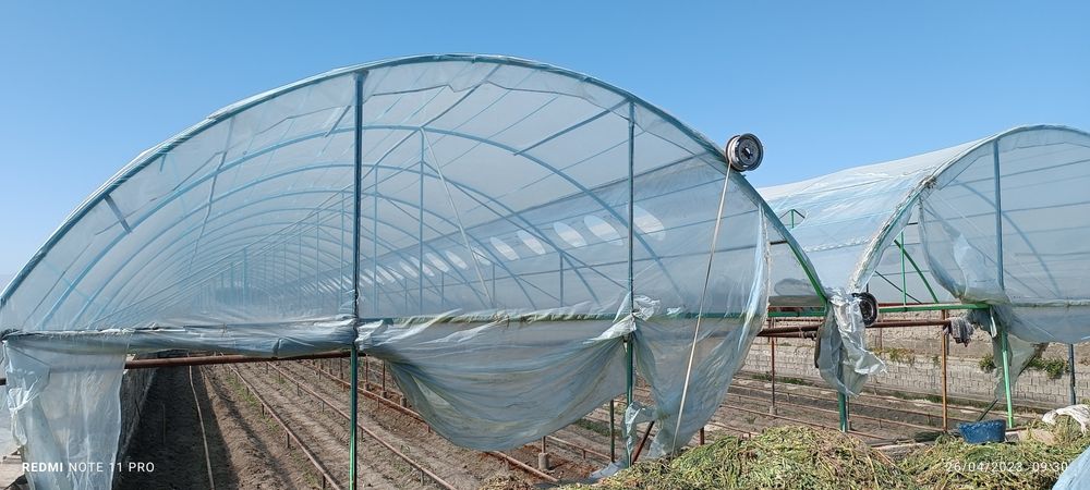 Issiqxona sotiladi ijaraga birladi