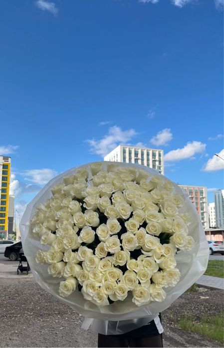 Метровые розы все цвета