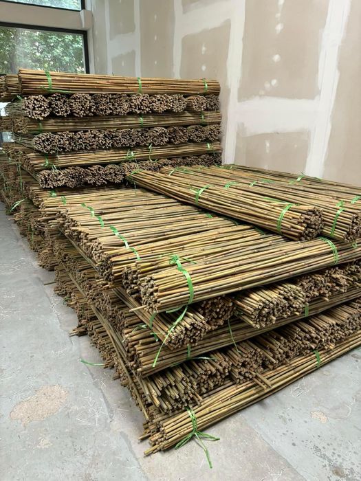 Колчета за укрепване на домати от БАМБУК естествени НА ПРОМОЦИЯ!