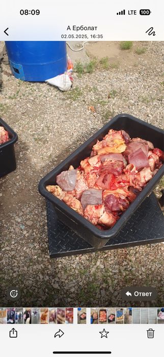 Отход для собаки