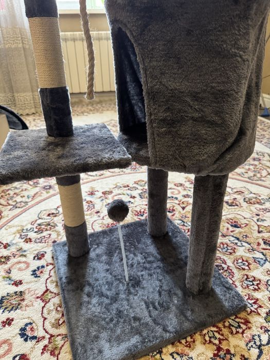 Коготочки за 18000 тенге