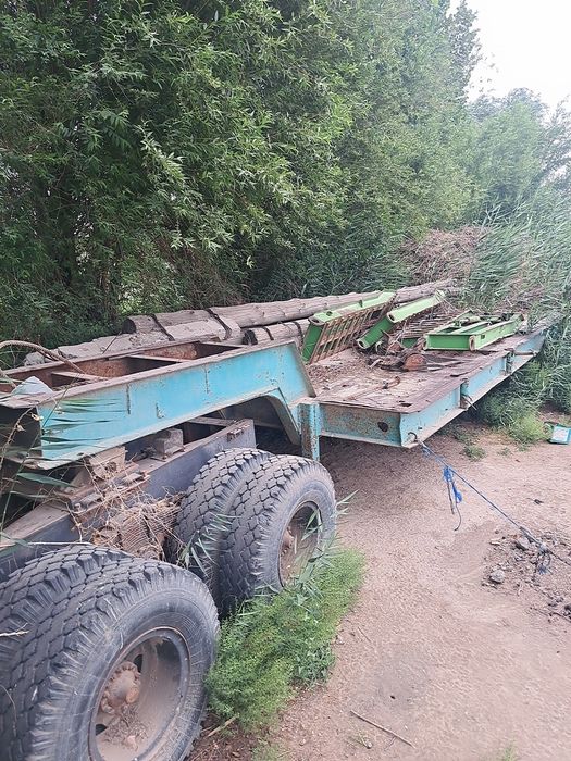 1 garantya xolati alo