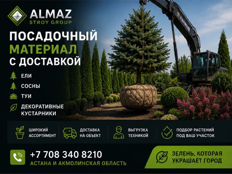 Туи, ели, сосны и кустарники из собственного питомника Астана