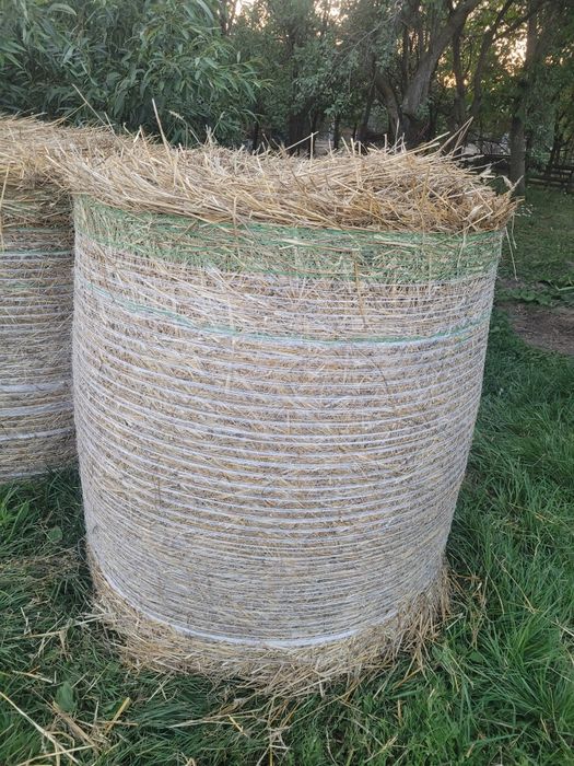 Vând baloți de paie