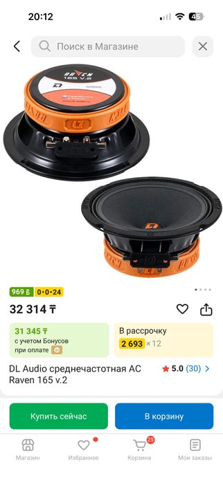 Динамик DL RAVEN 165 v2