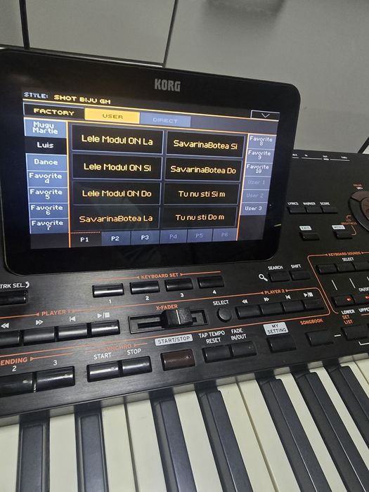 【中古】 Project　PAPO　resonance Set korg pa4x pa3x 2025 Automat introduceri noi Returnele vocii