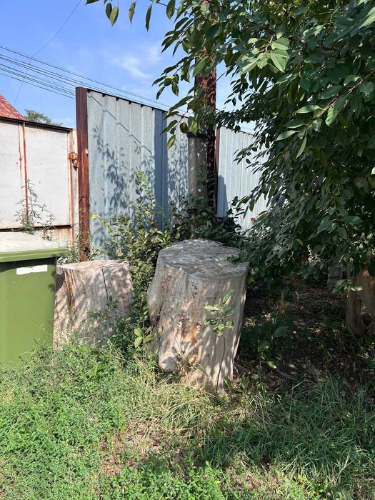 Тополь на дрова. Самораспил самопогруз и самовывоз