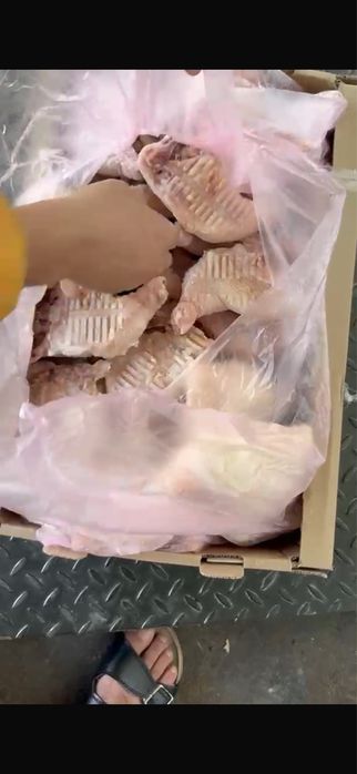 Курица , куринная продукция