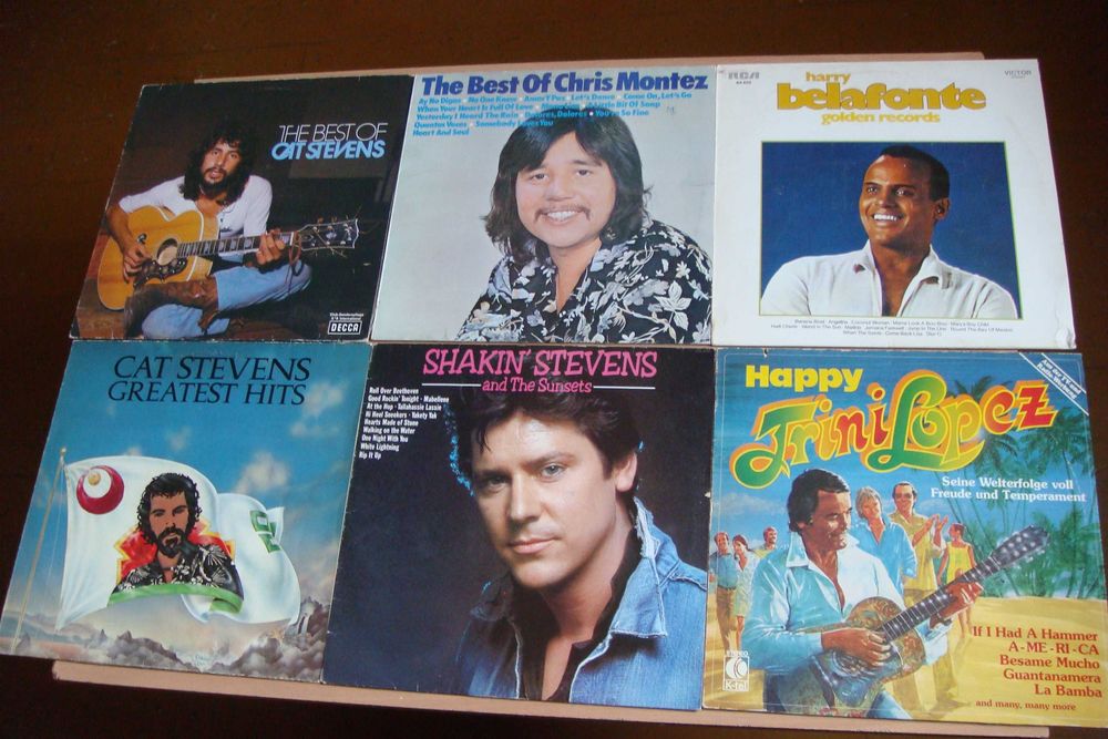 Виниловые пластинки