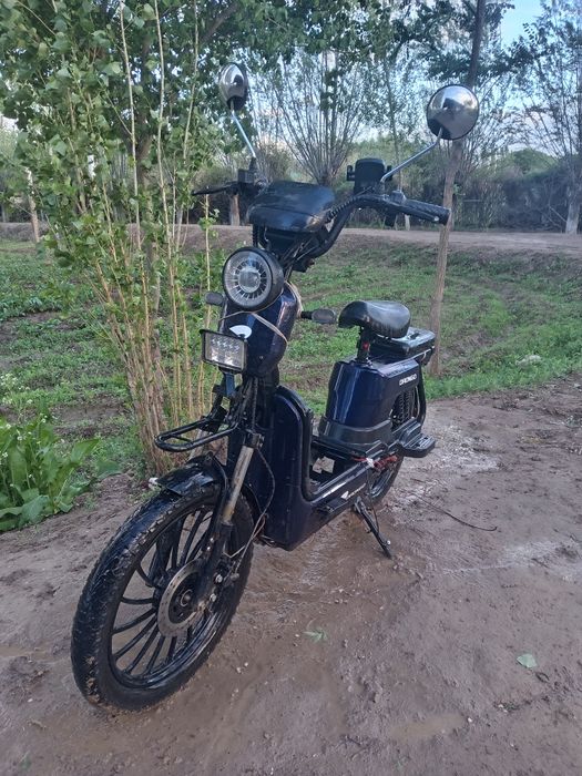 Skuter скутер drongo